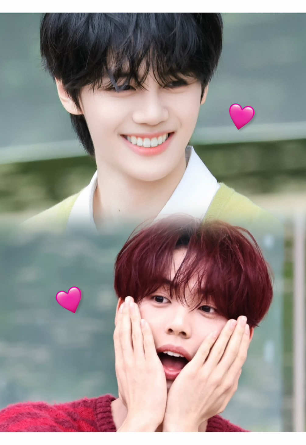 @cakesk_gyj 🐶🩷🐰