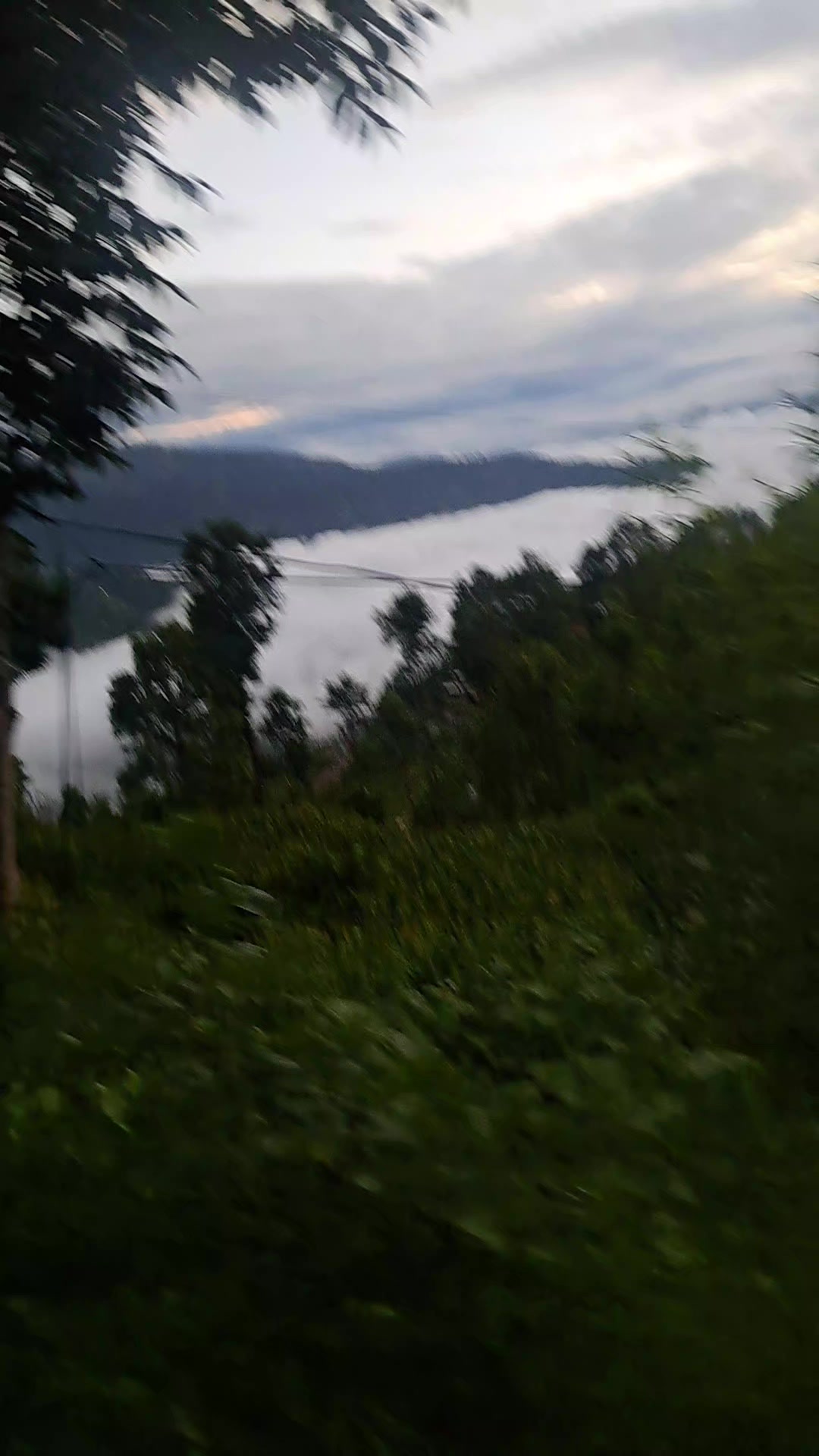 @Ranjita Basnet