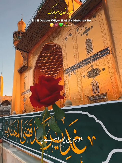 @𝐙𝐀𝐈ن𝐀𝐛ރ