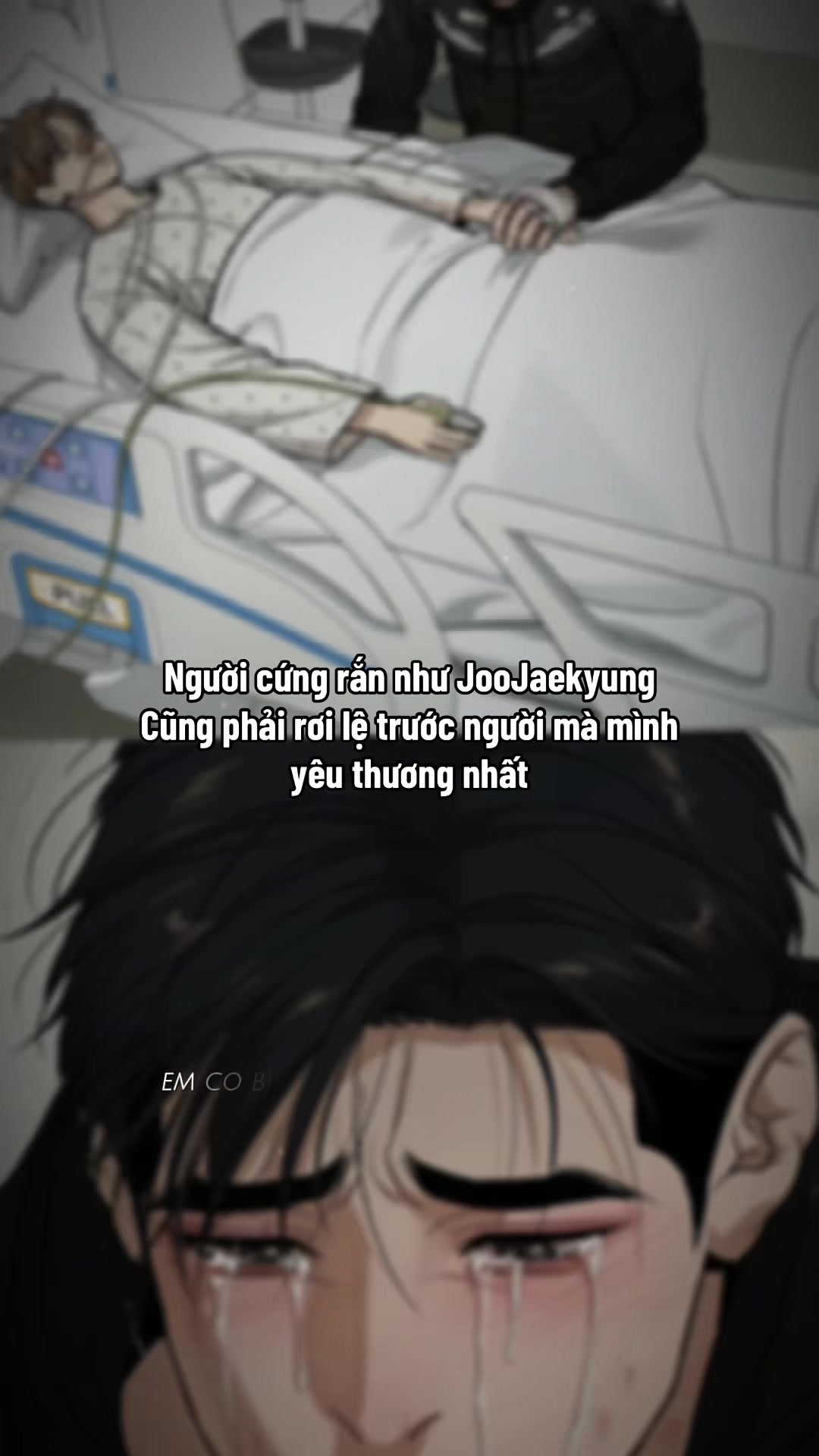 @Joo Ha Sylus 🌙
