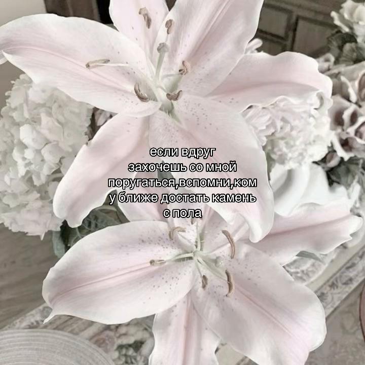 @݁˖𝜗ৎ ᥎ᥲᥒiᥣᥣᥲ‧˚꒰🐾୭ ˚