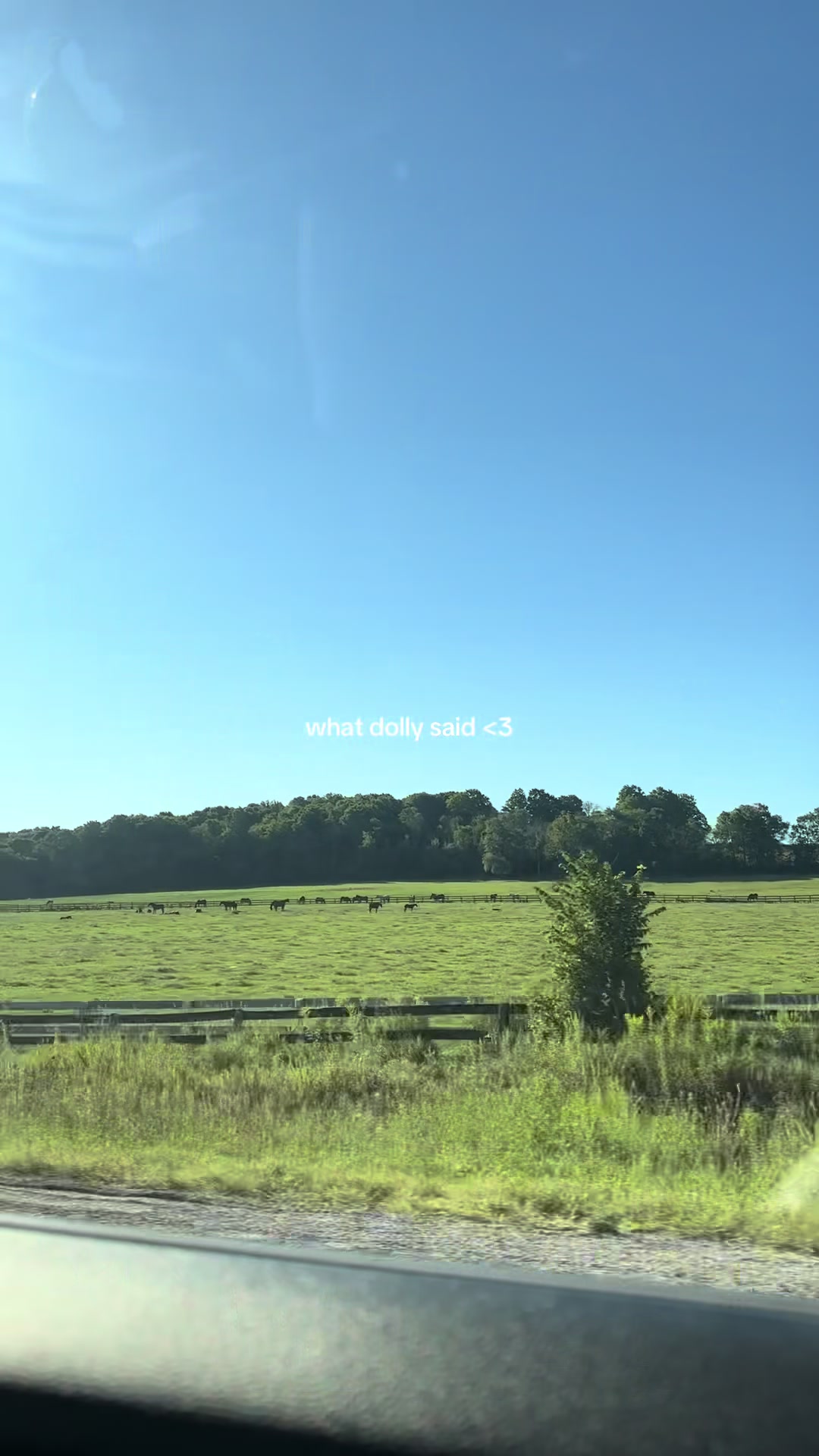@maddiebriell