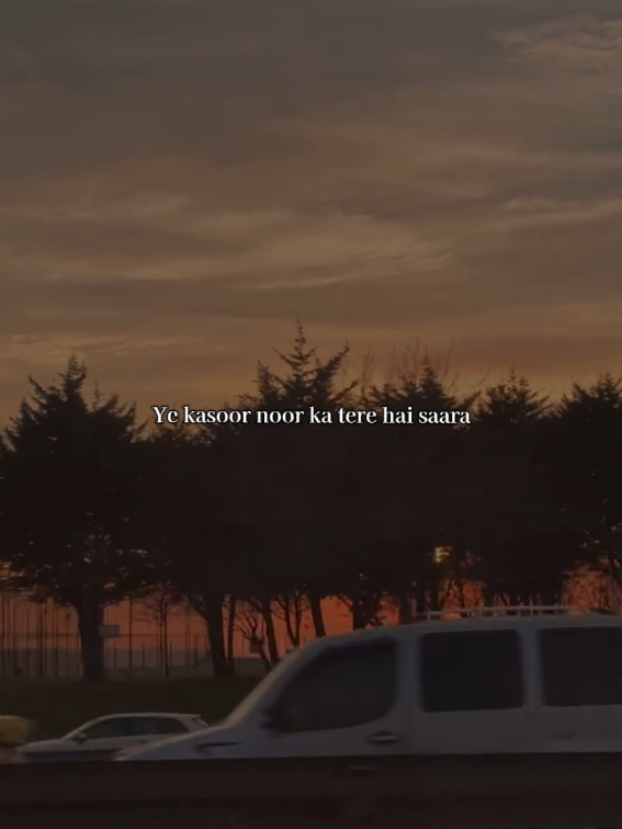 @。⋆༶⋆˙𝖁𝖎𝖇𝖊 𝖙𝖆𝖗𝖆❀.⋆。⋆༶⋆˙