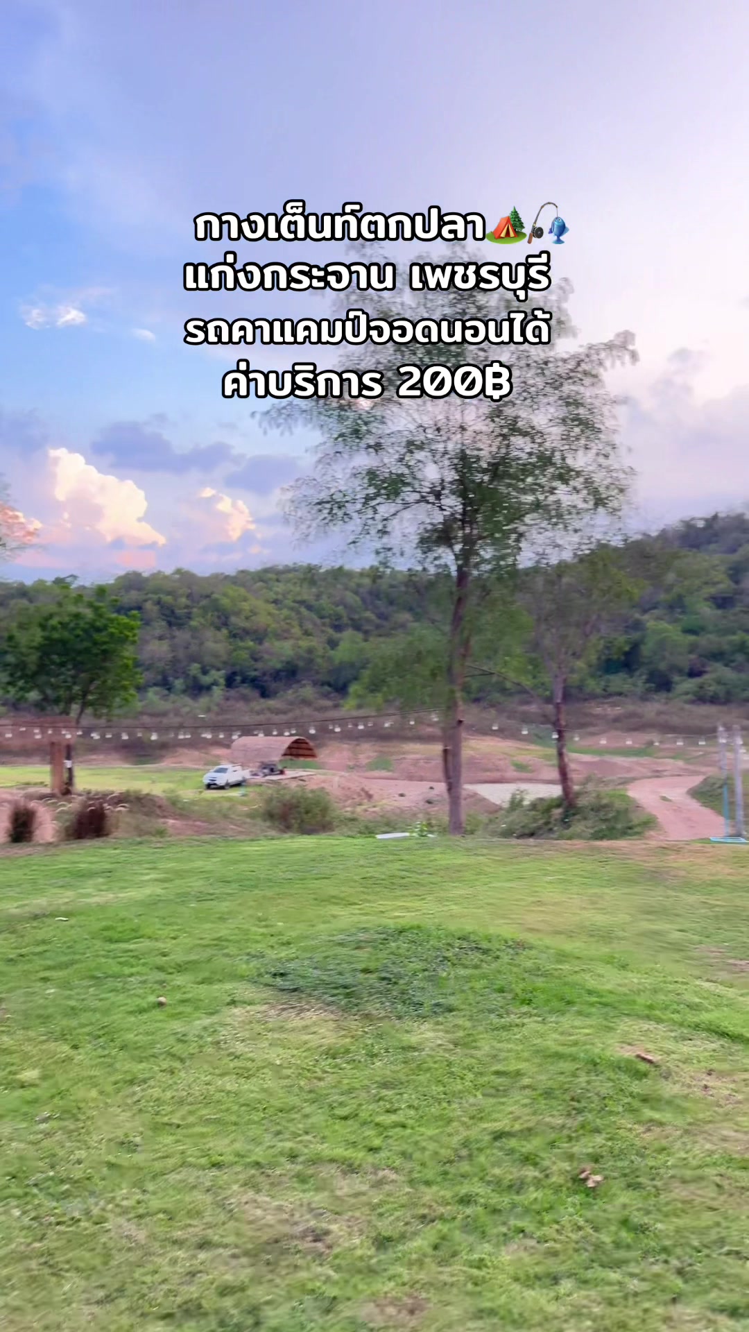 @🌳 Tamarind Tree Camping 🌳