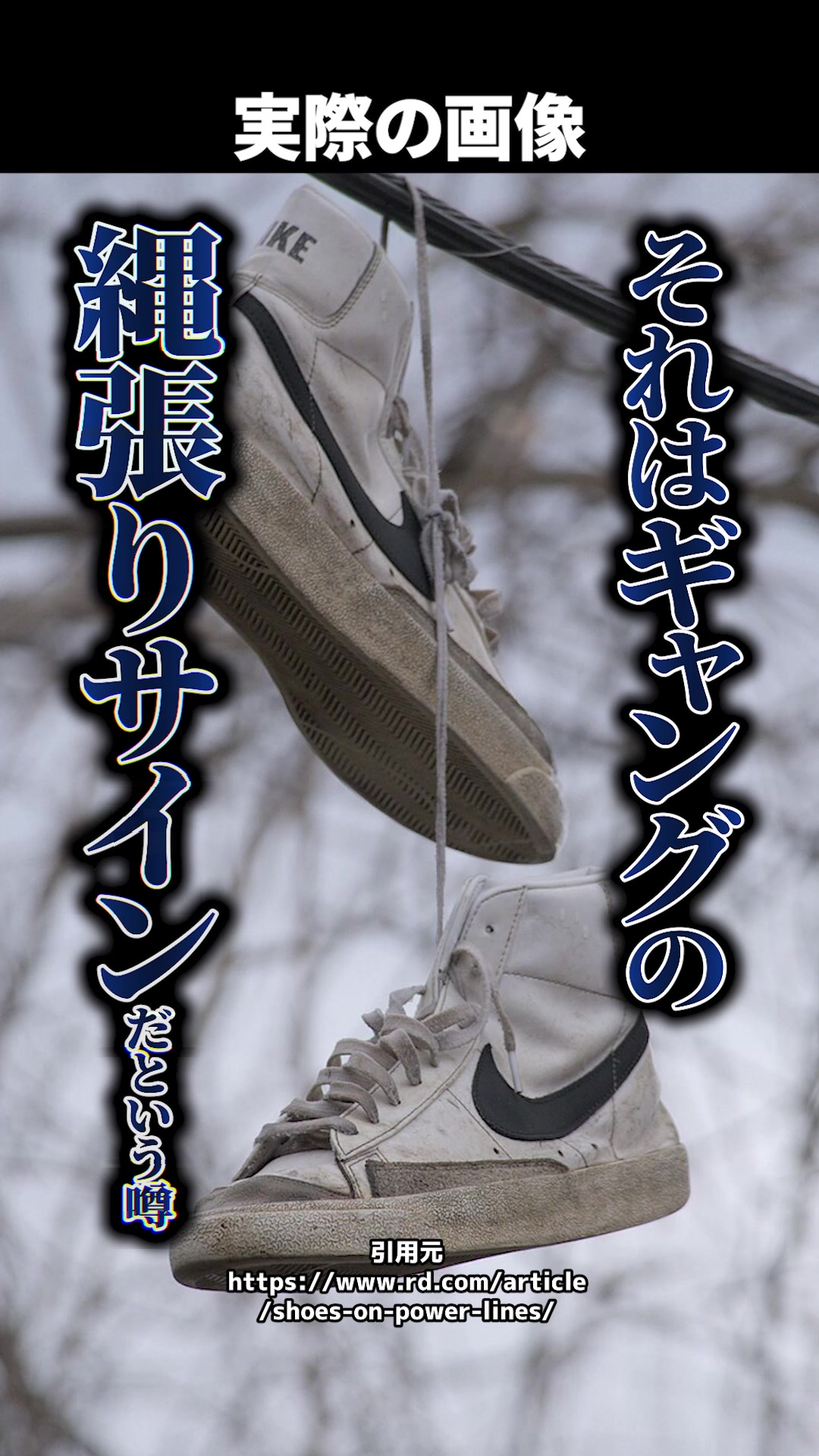 @岡野タケシ弁護士【アトム法律グループ】