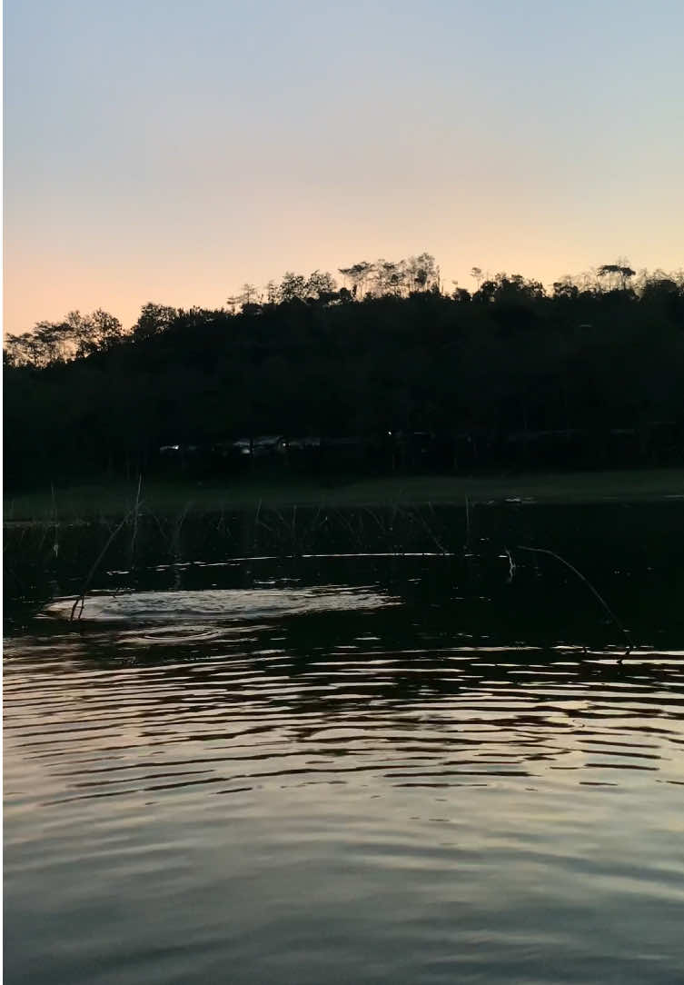 @MAFIA FISHING