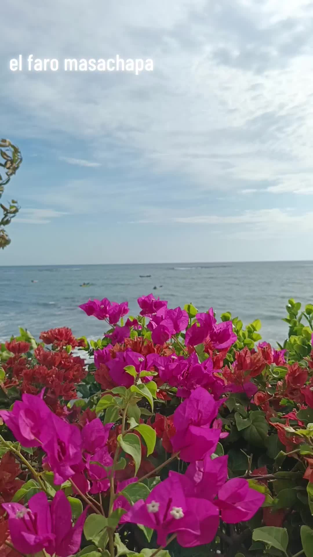 @el chinamero nica🇳🇮