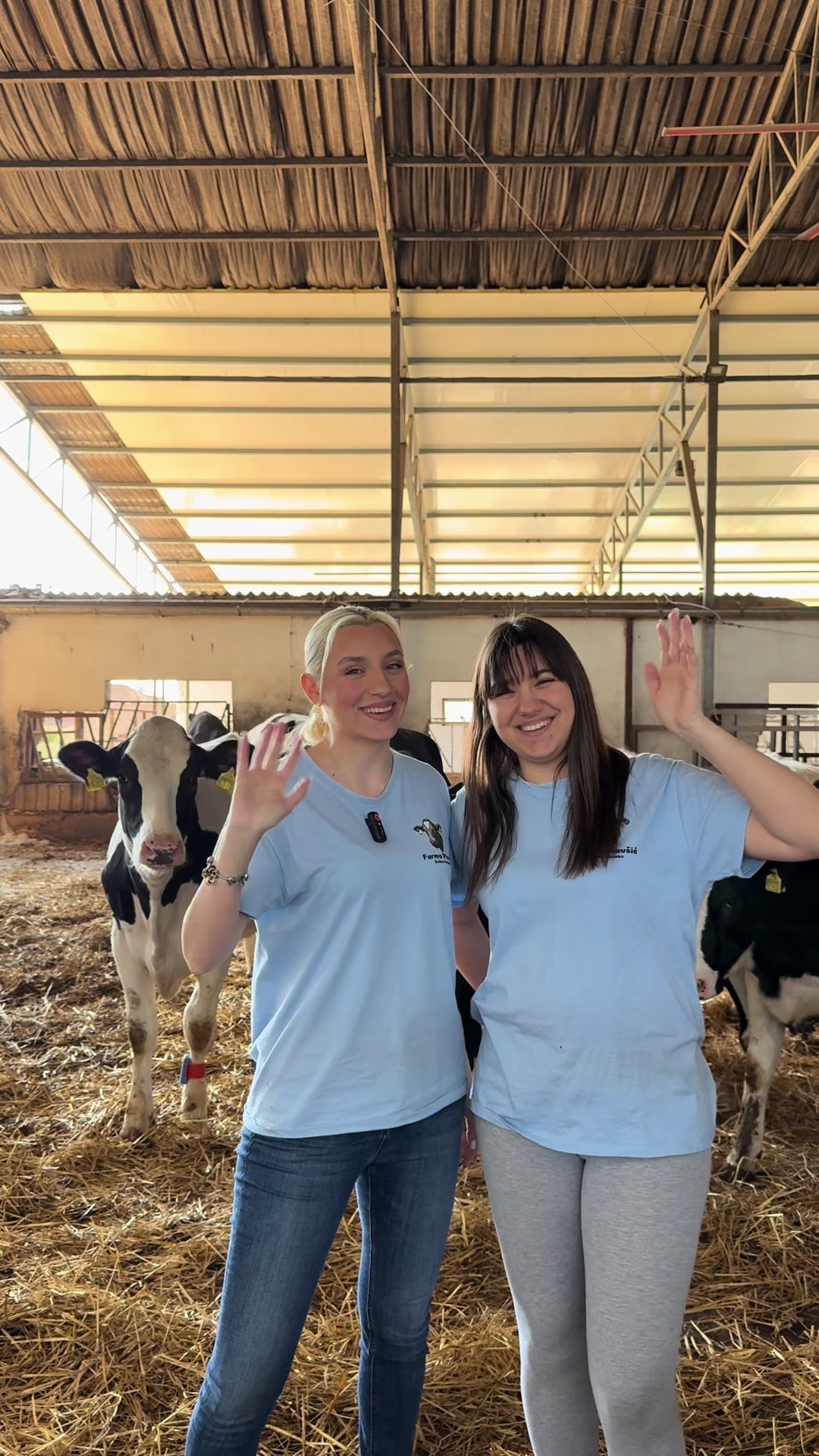 @Sofija Plavšić 🐮