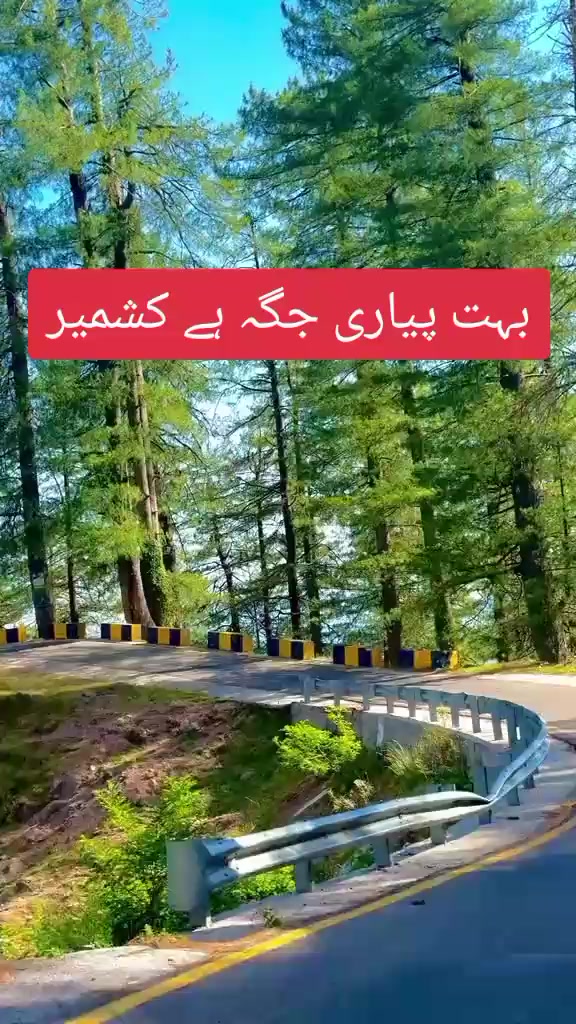 @shani malik