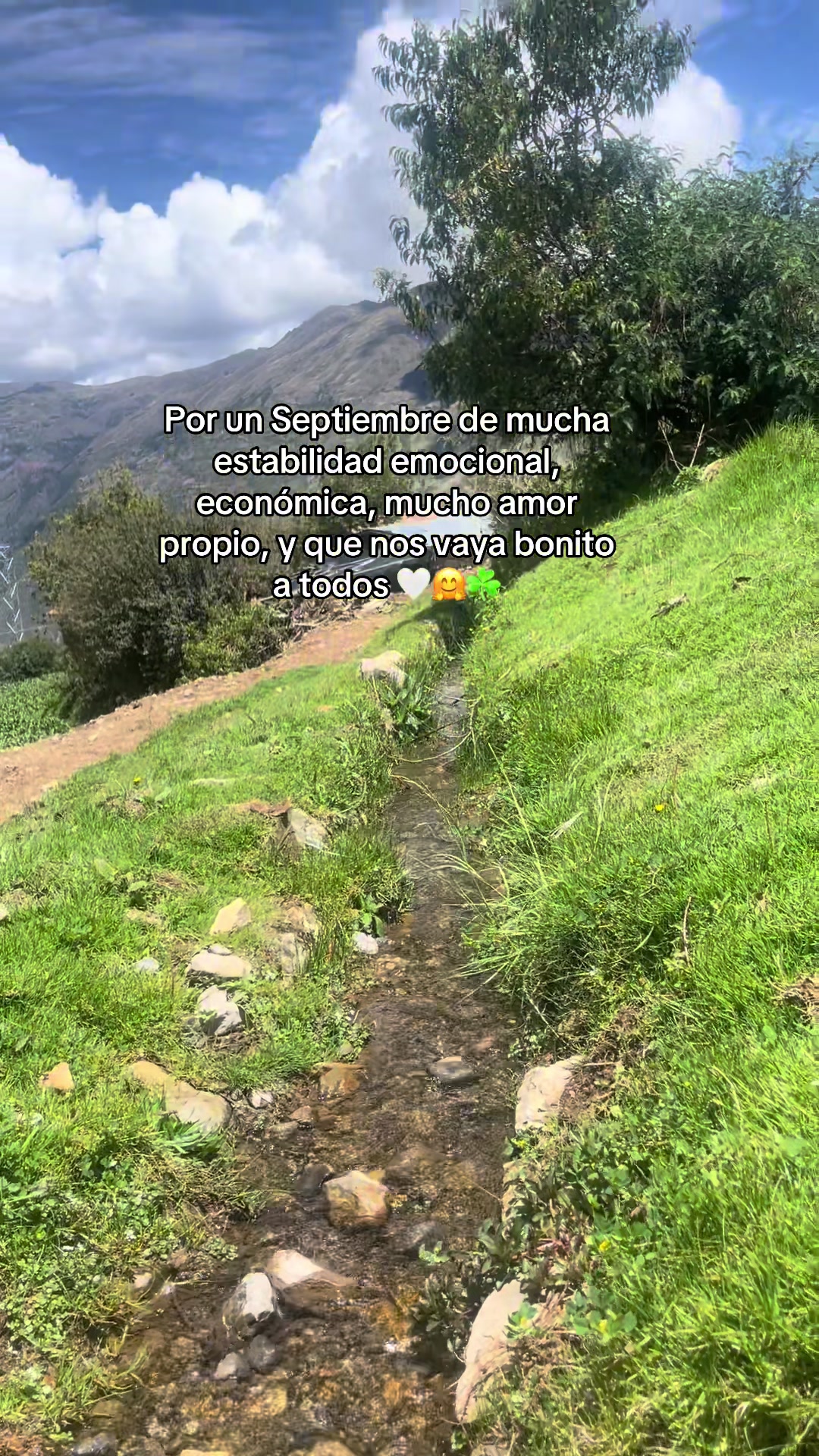 @🦄Misee ❤️🩹
