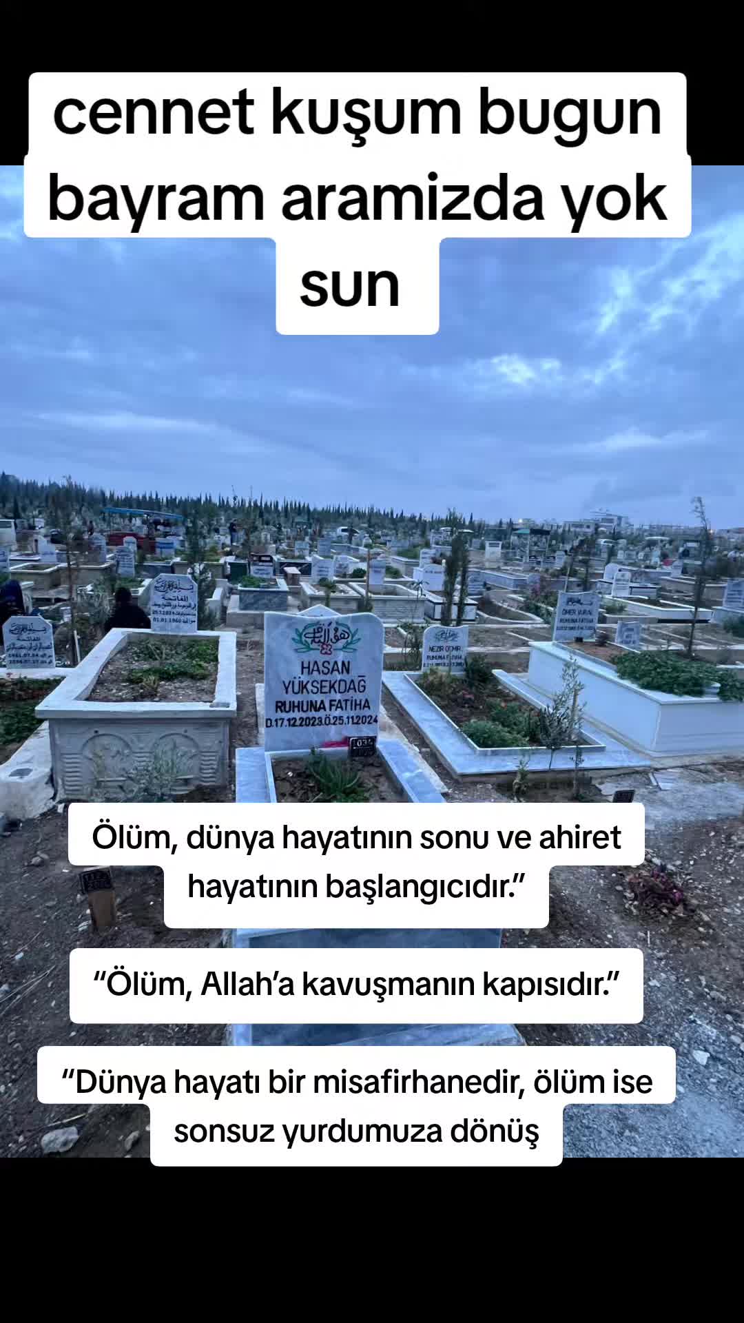 @Ahmet01