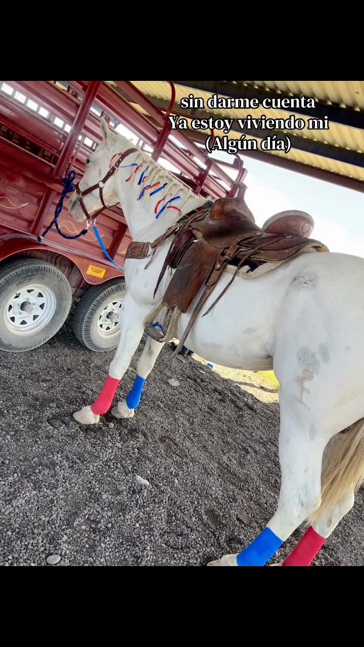 @Sherlin Barrón