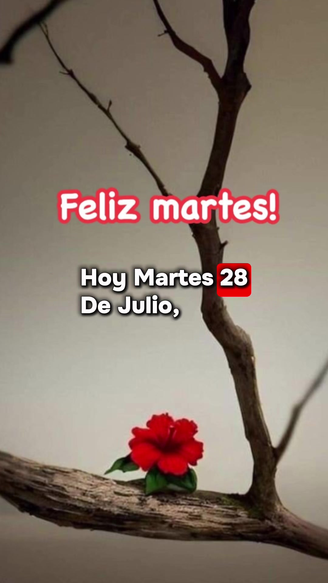@Roxana
