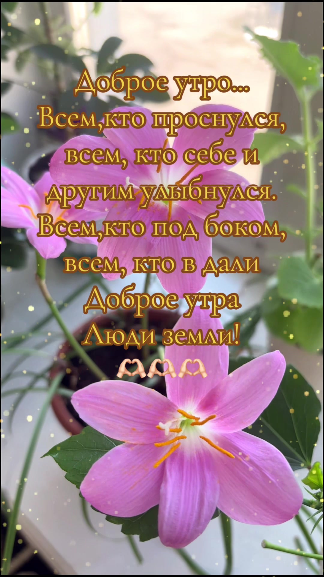 @Статусы и Цитаты от Натальи