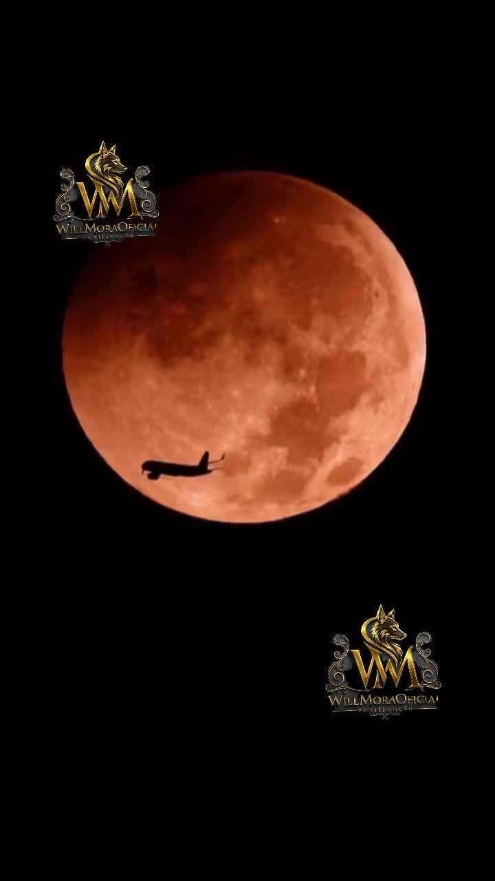 @WillMoraOficial