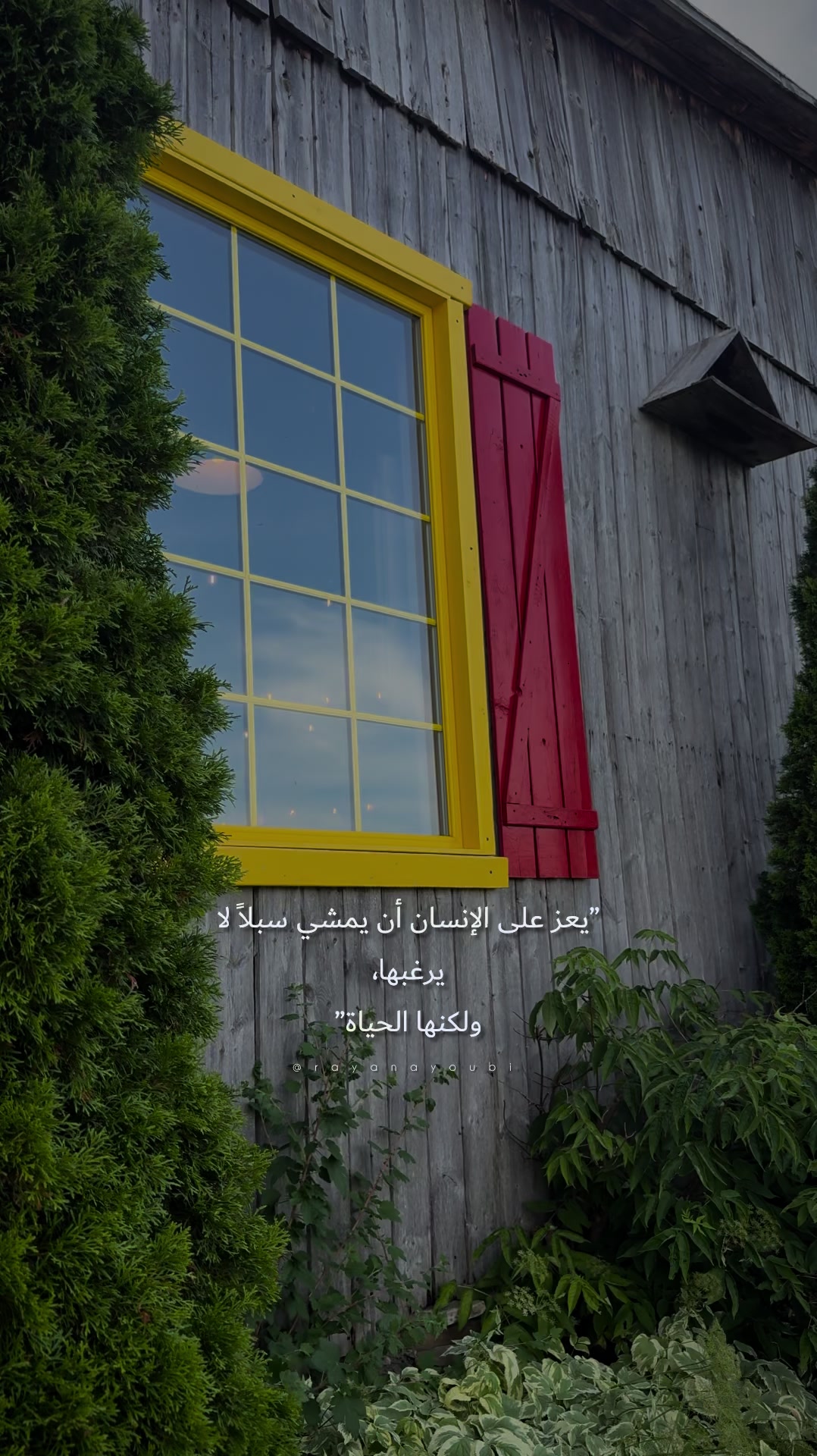 @Rayan El Ayoubi
