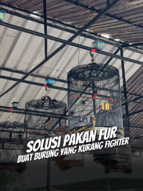 @Umi Kasum Store