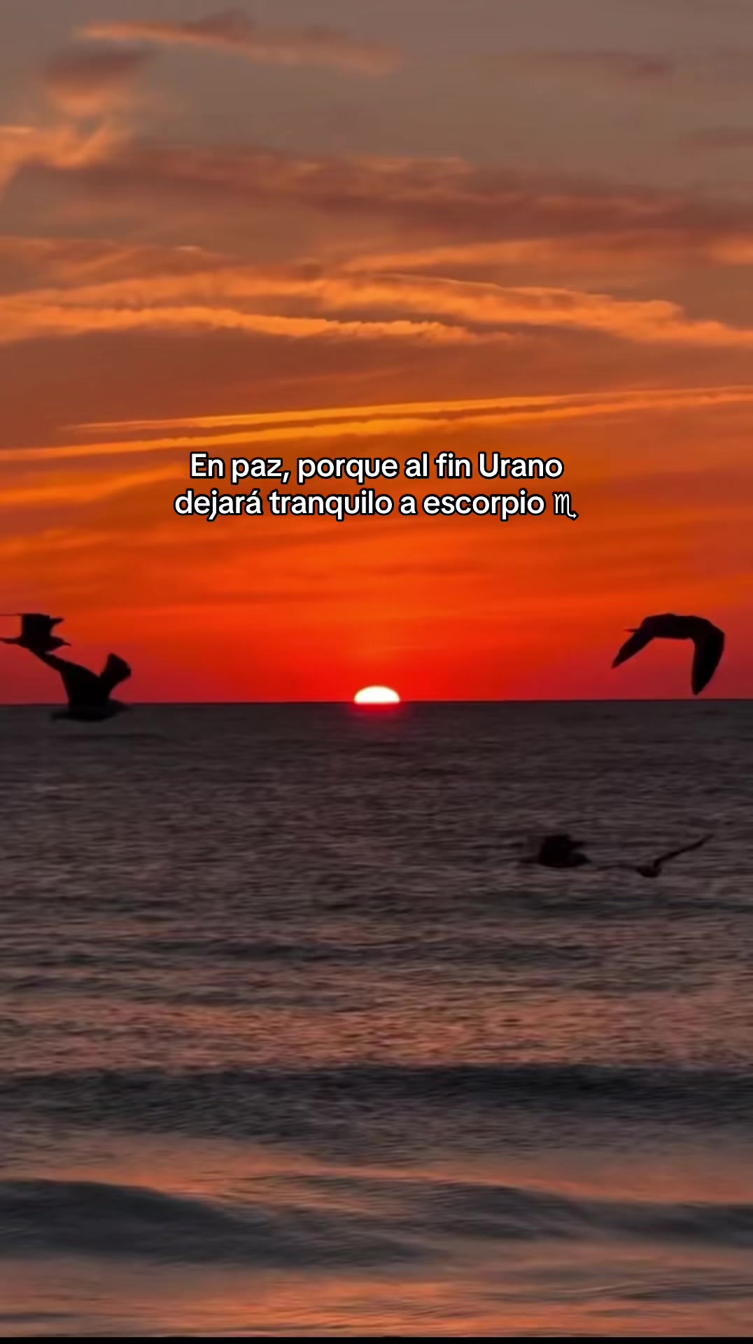 @Manada Escorpiana ✨