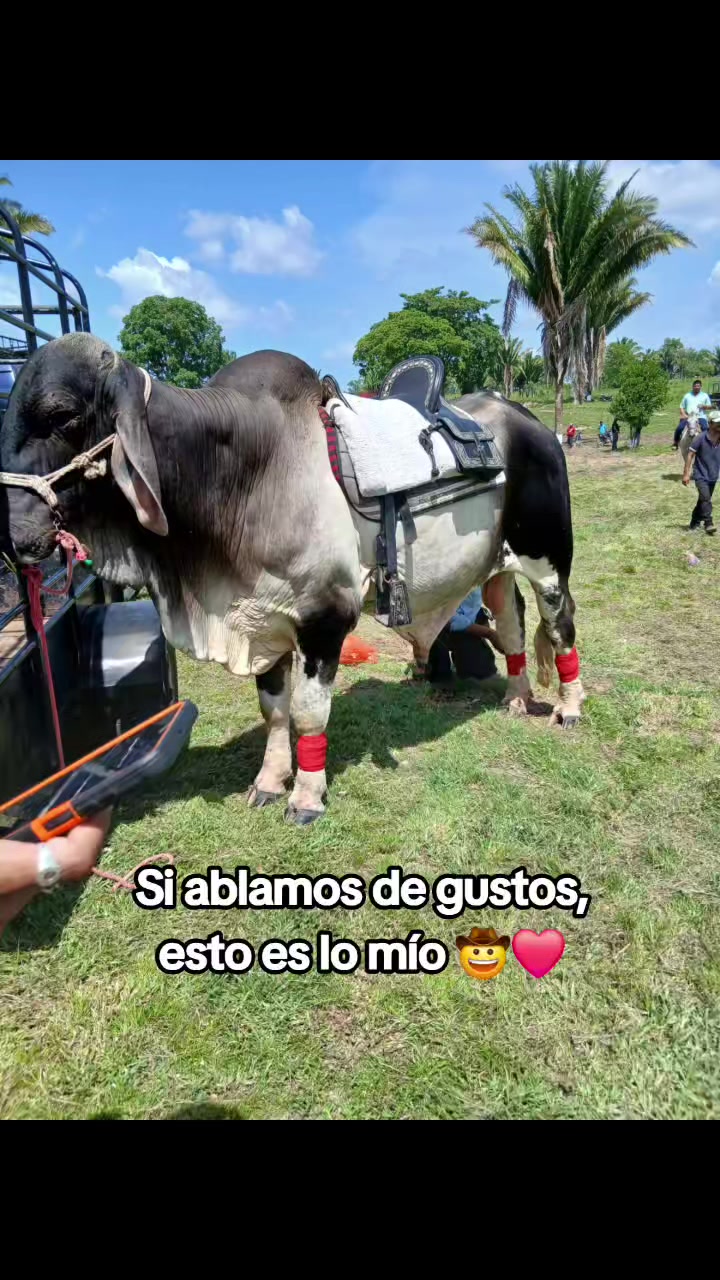 @will😋