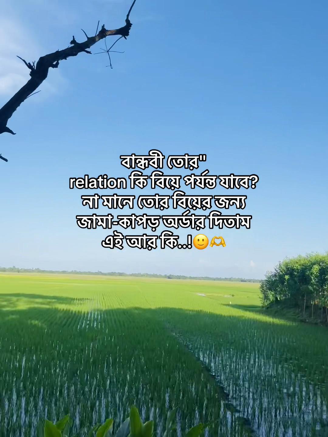 @টিক-টিকি