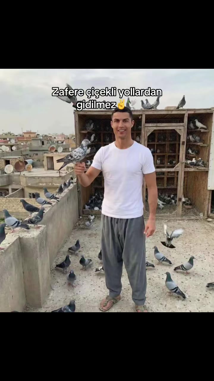 @Bizdir