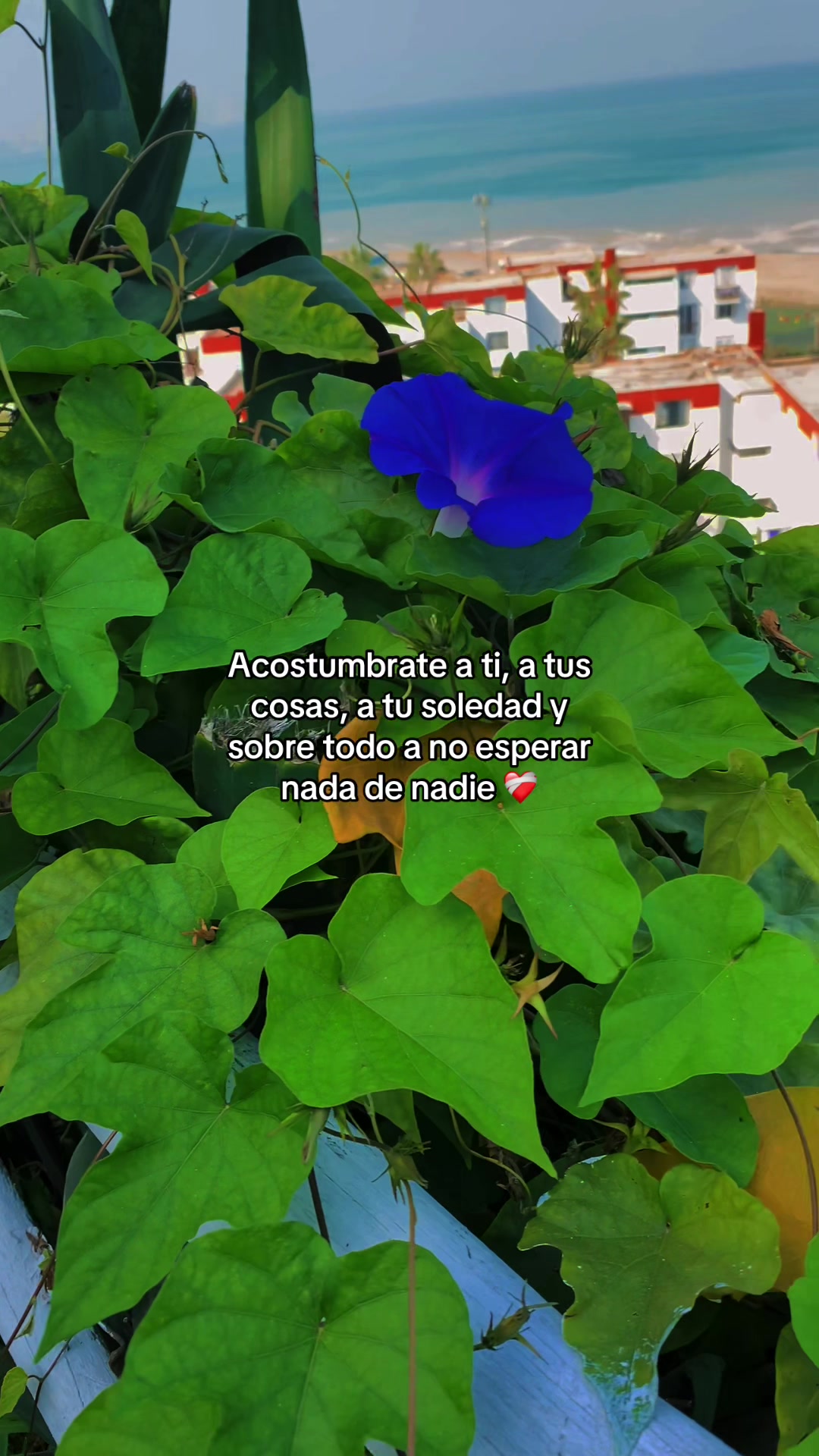 @𝑰𝒔𝒂💋