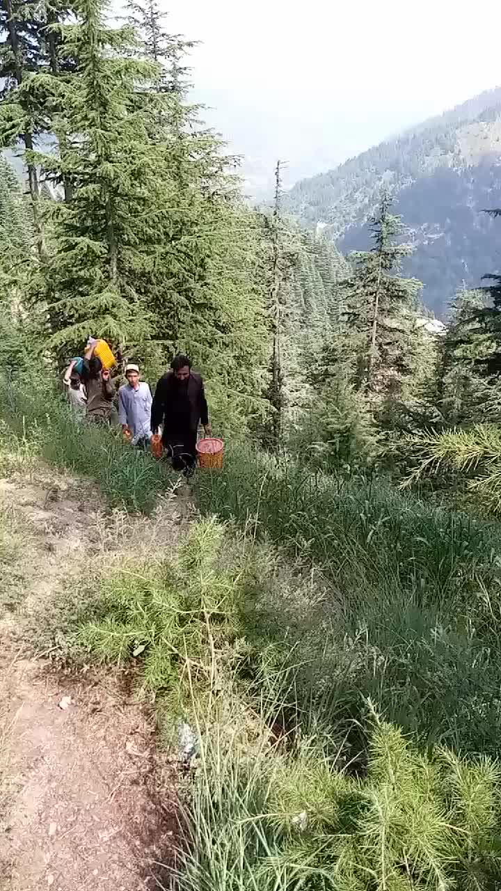@jahangerkhan523