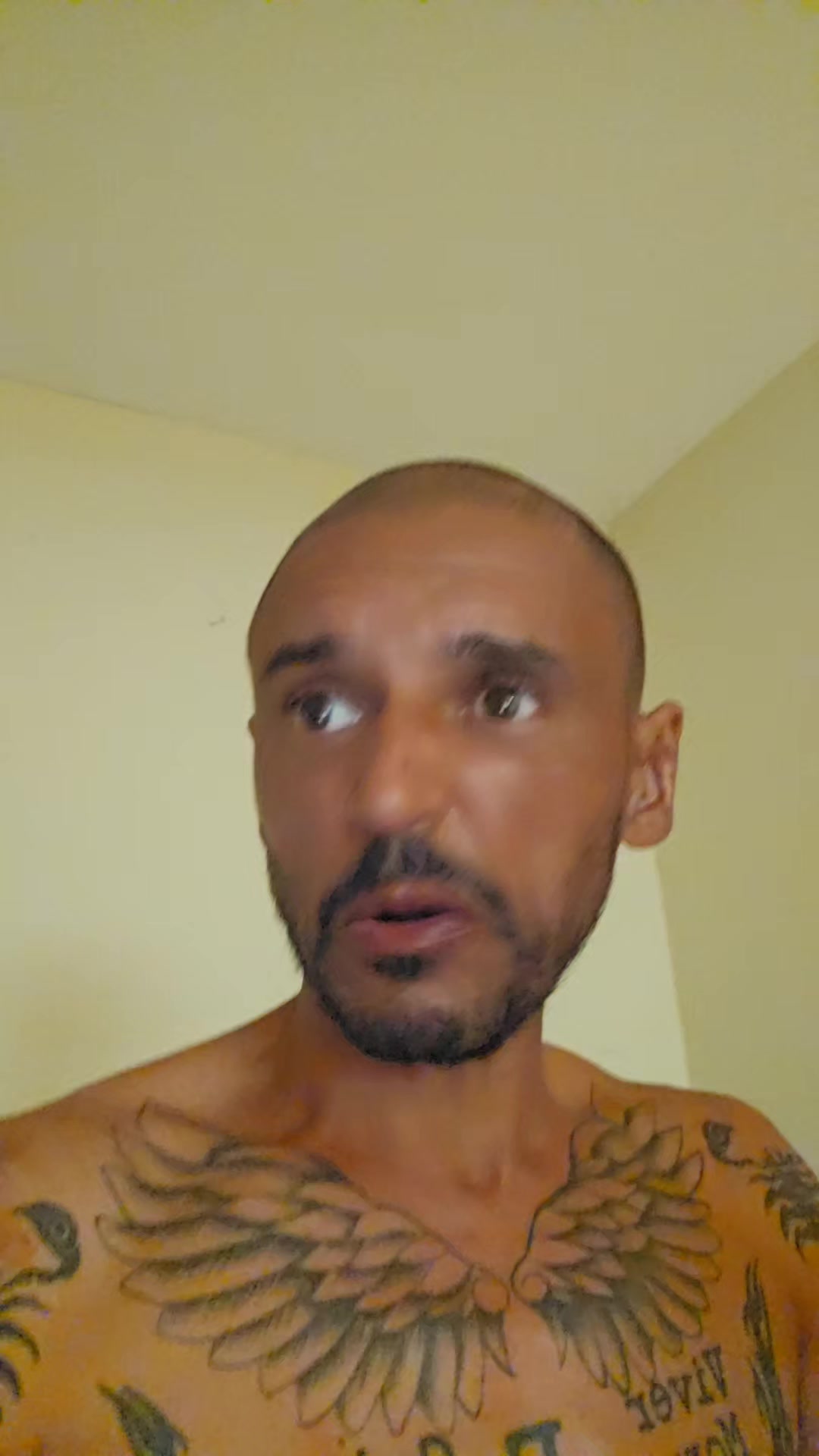 @༺VELH&Oacute;TE༻