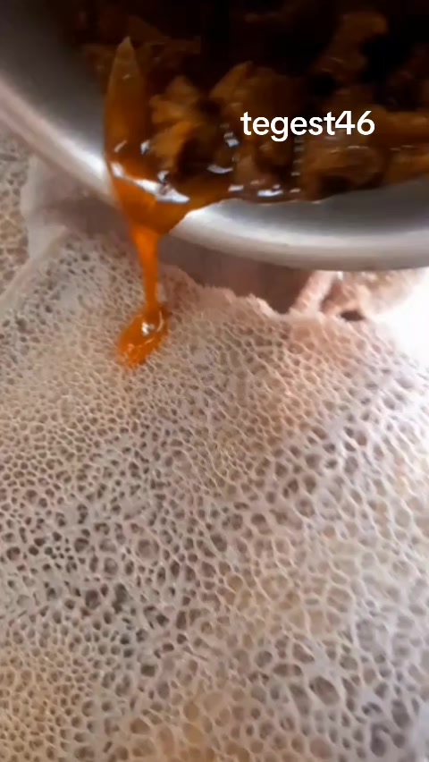 @tegest46