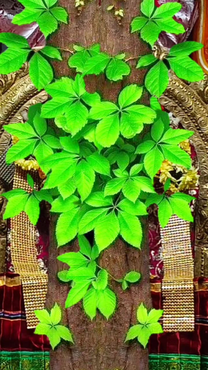 @arunvino1218