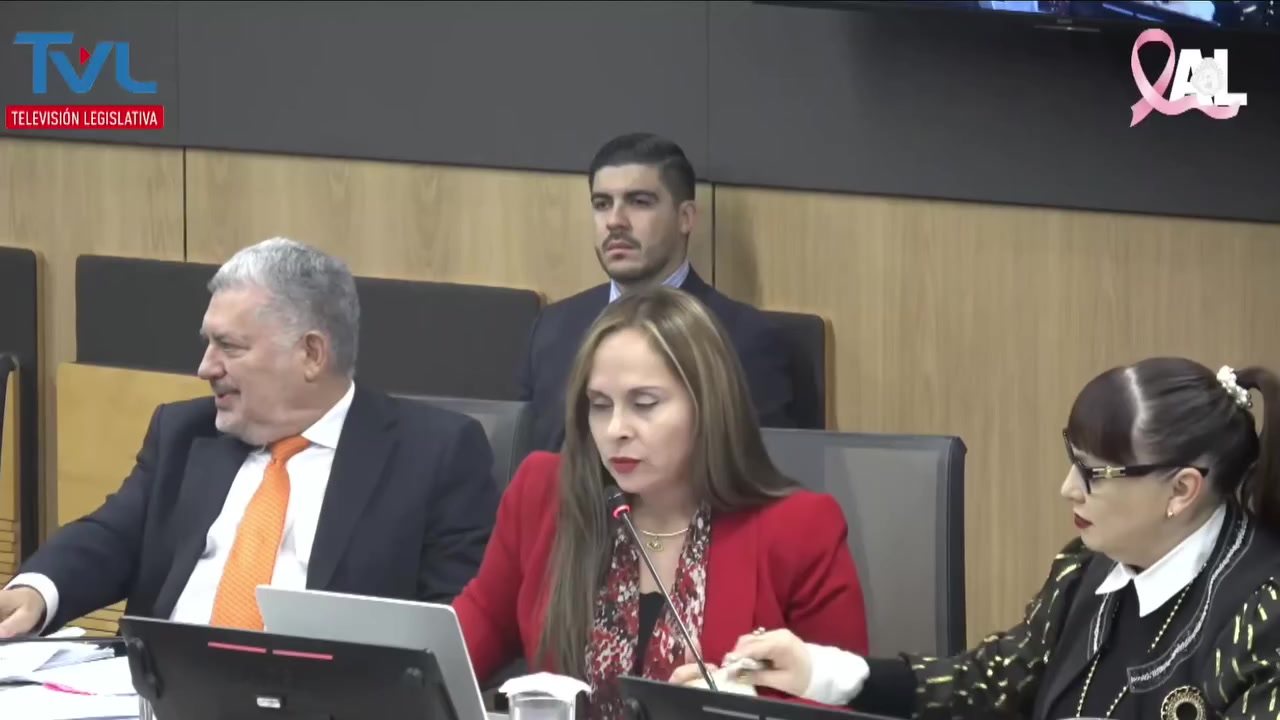 @Yara Jiménez Diputada NO OFICI