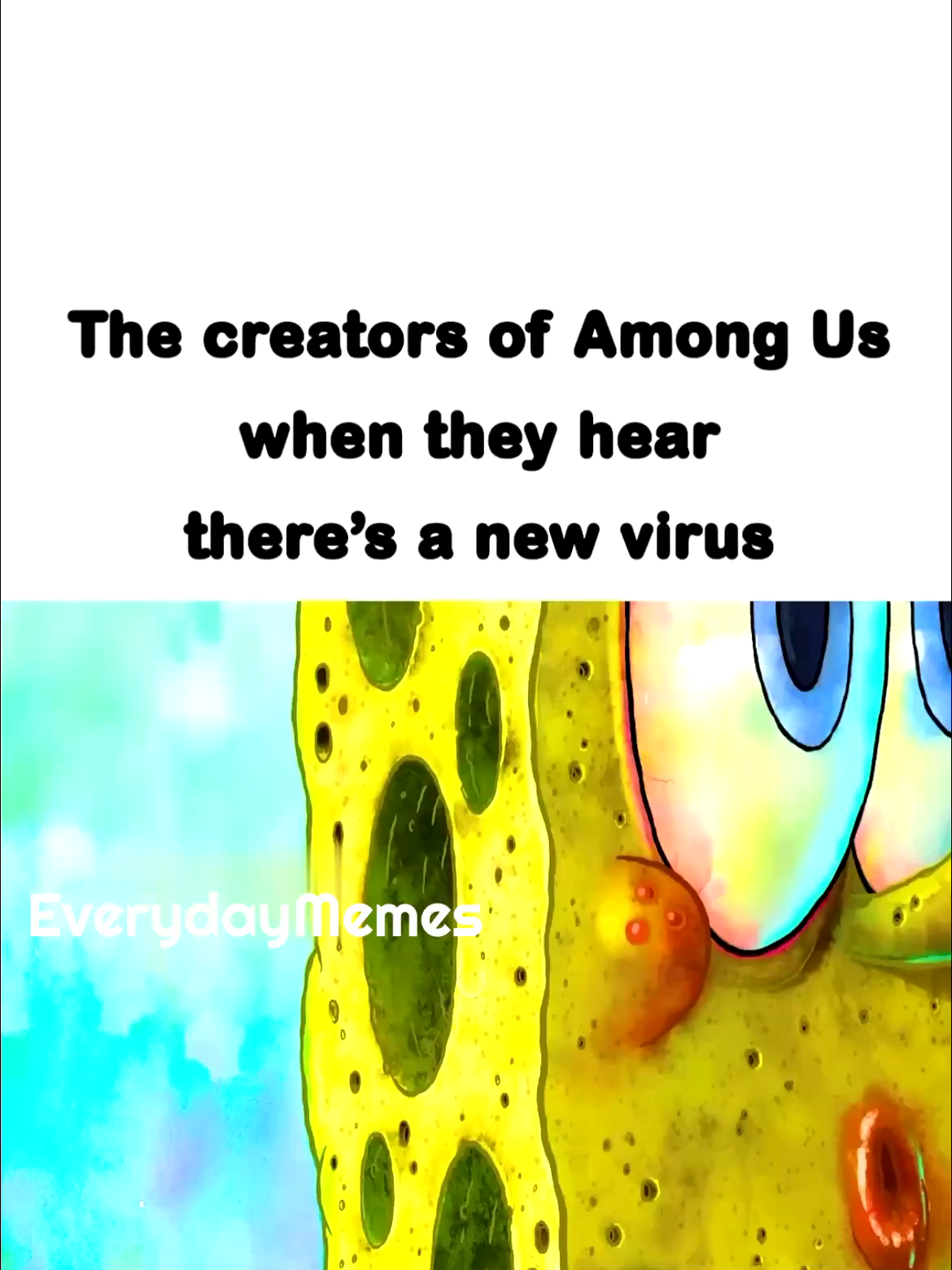 @EverydayMemes