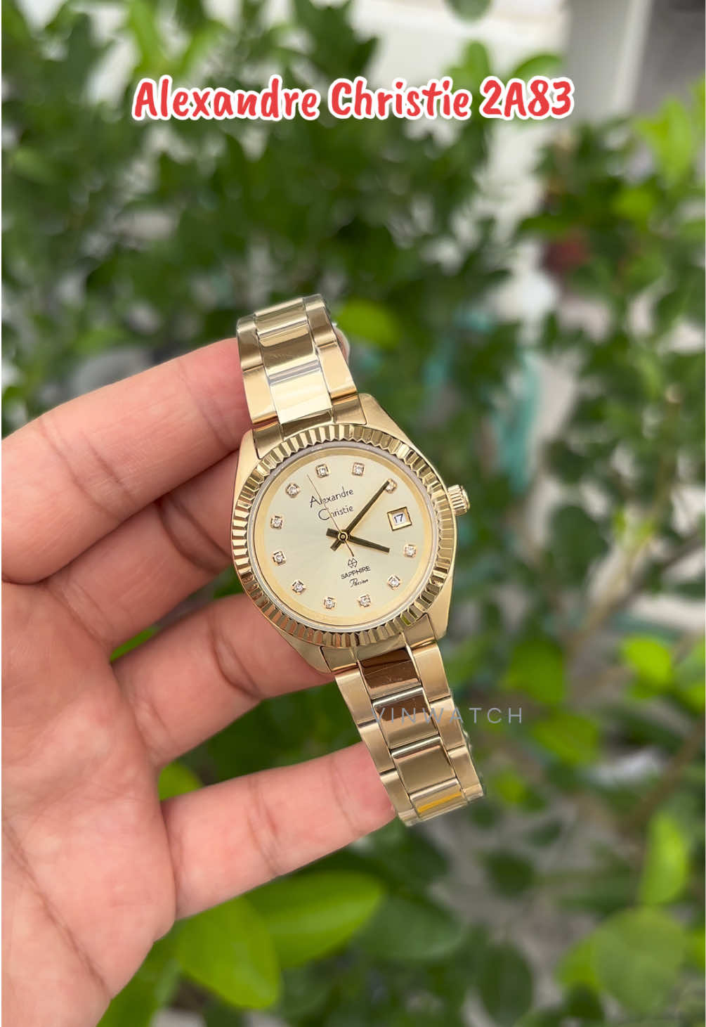 @vinwatch