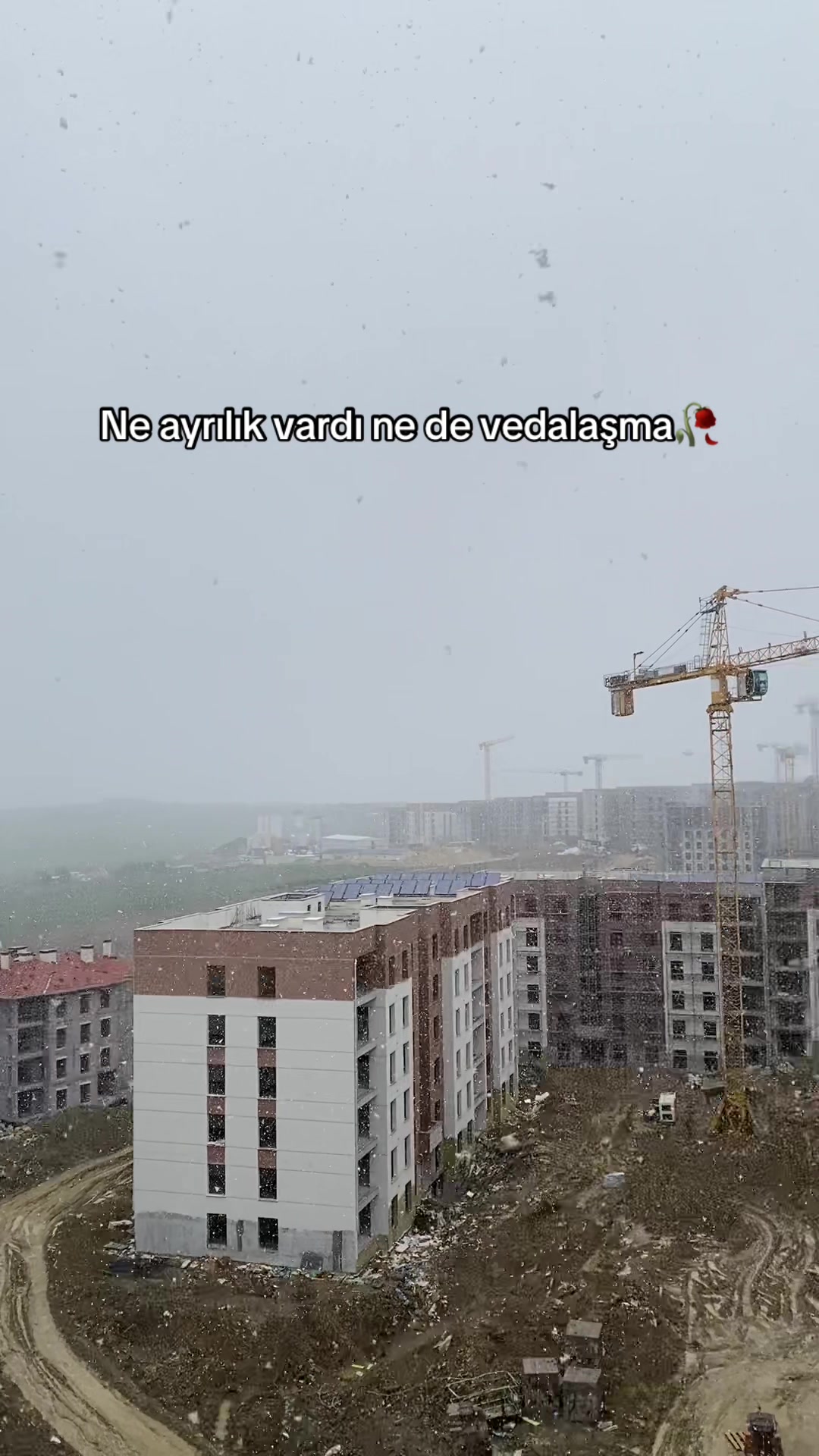 @Behcet Kaplan✪