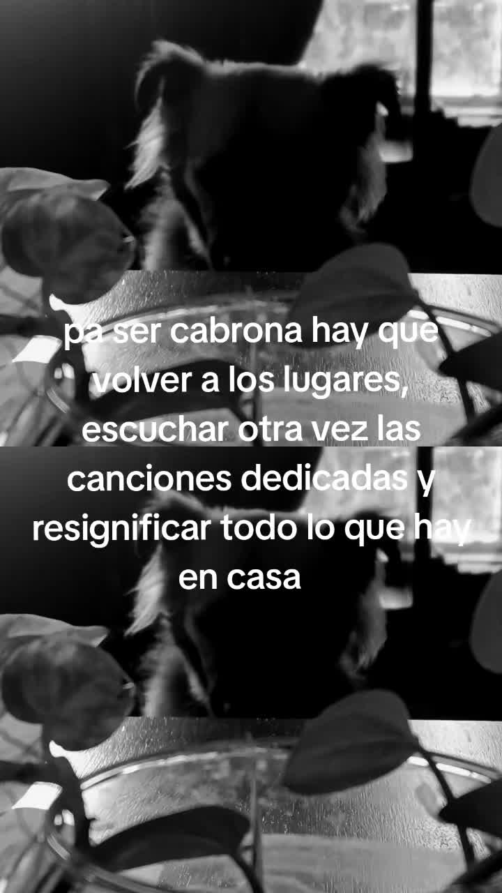@Smor⚸