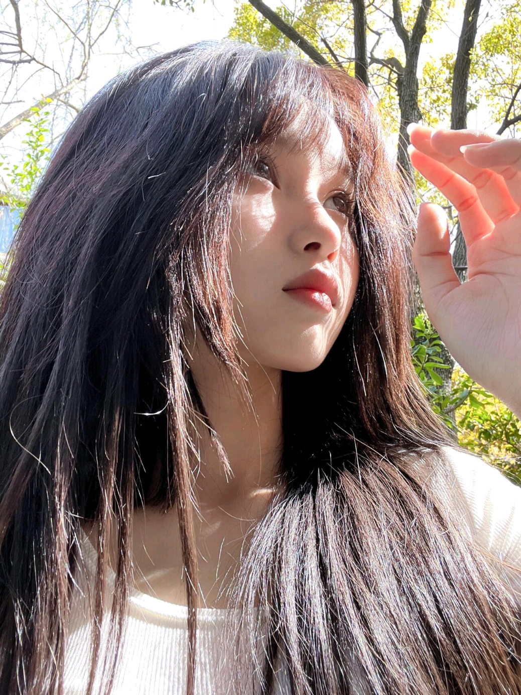 @🍁 王涵 🍁