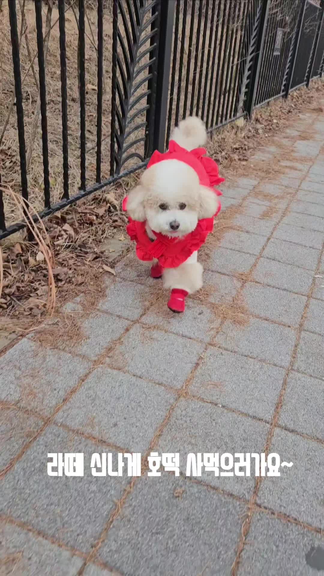 @예쁜라떼