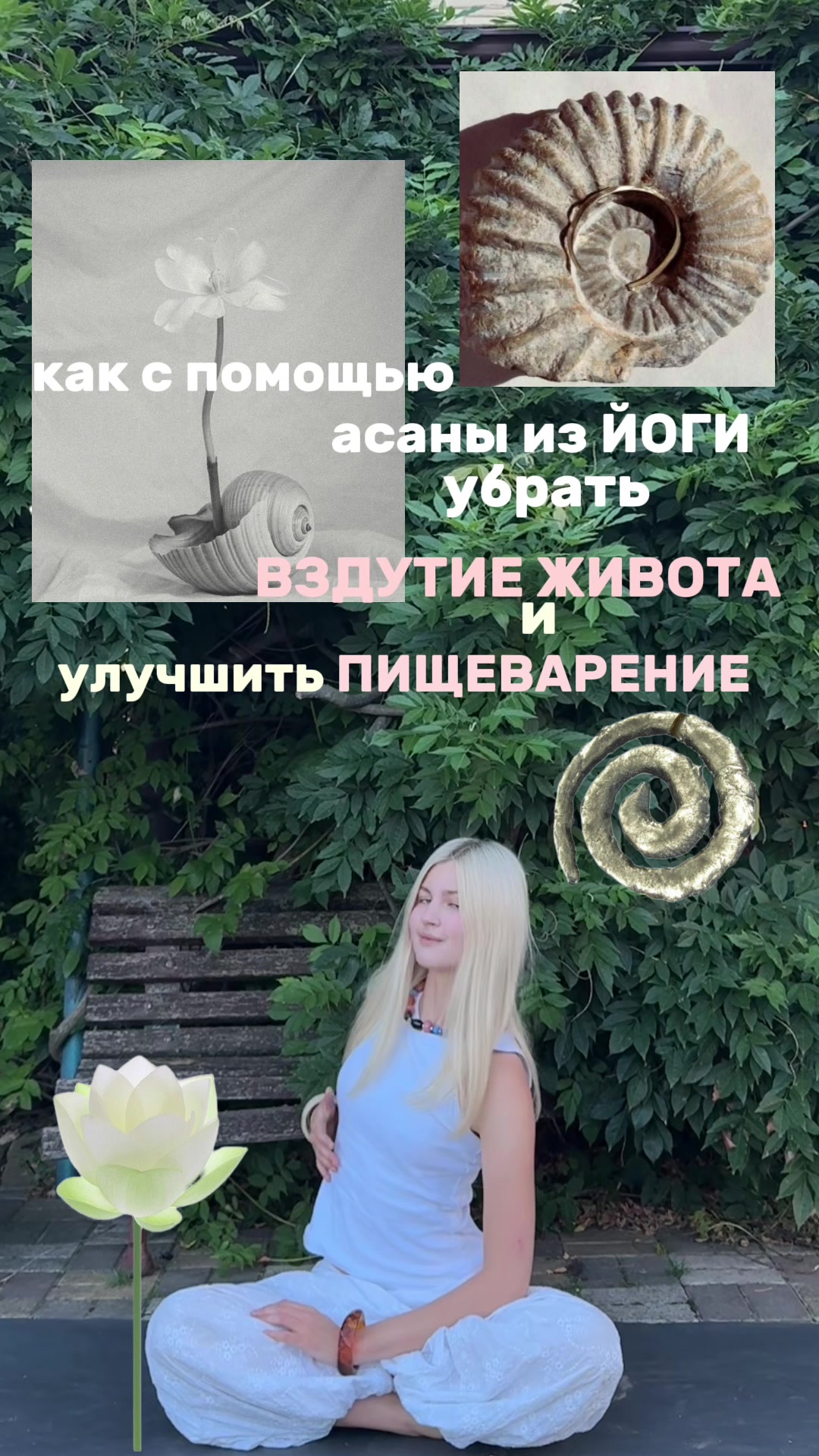 @тгк: goatnchva