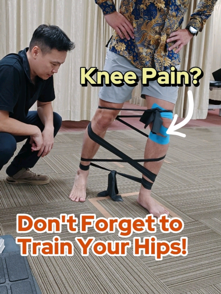 @PhysioBarn