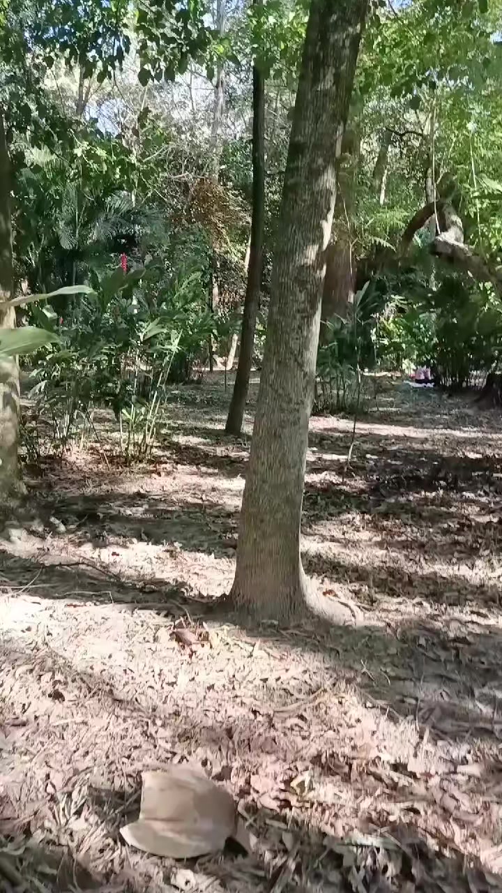 @chaparrita