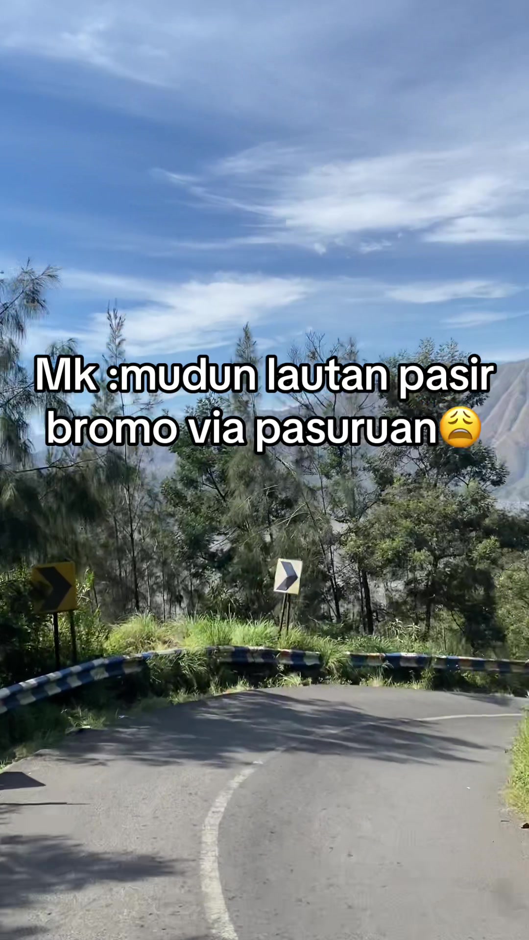 @Yogi Tri