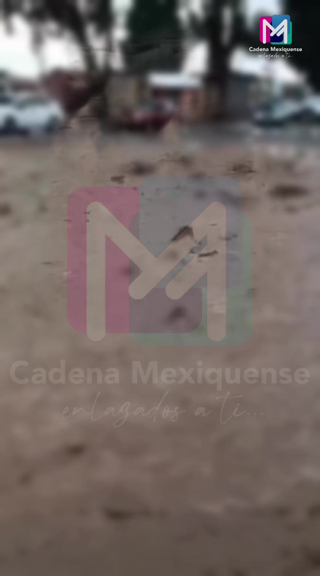 @Cadena&ensp;Mexiquense