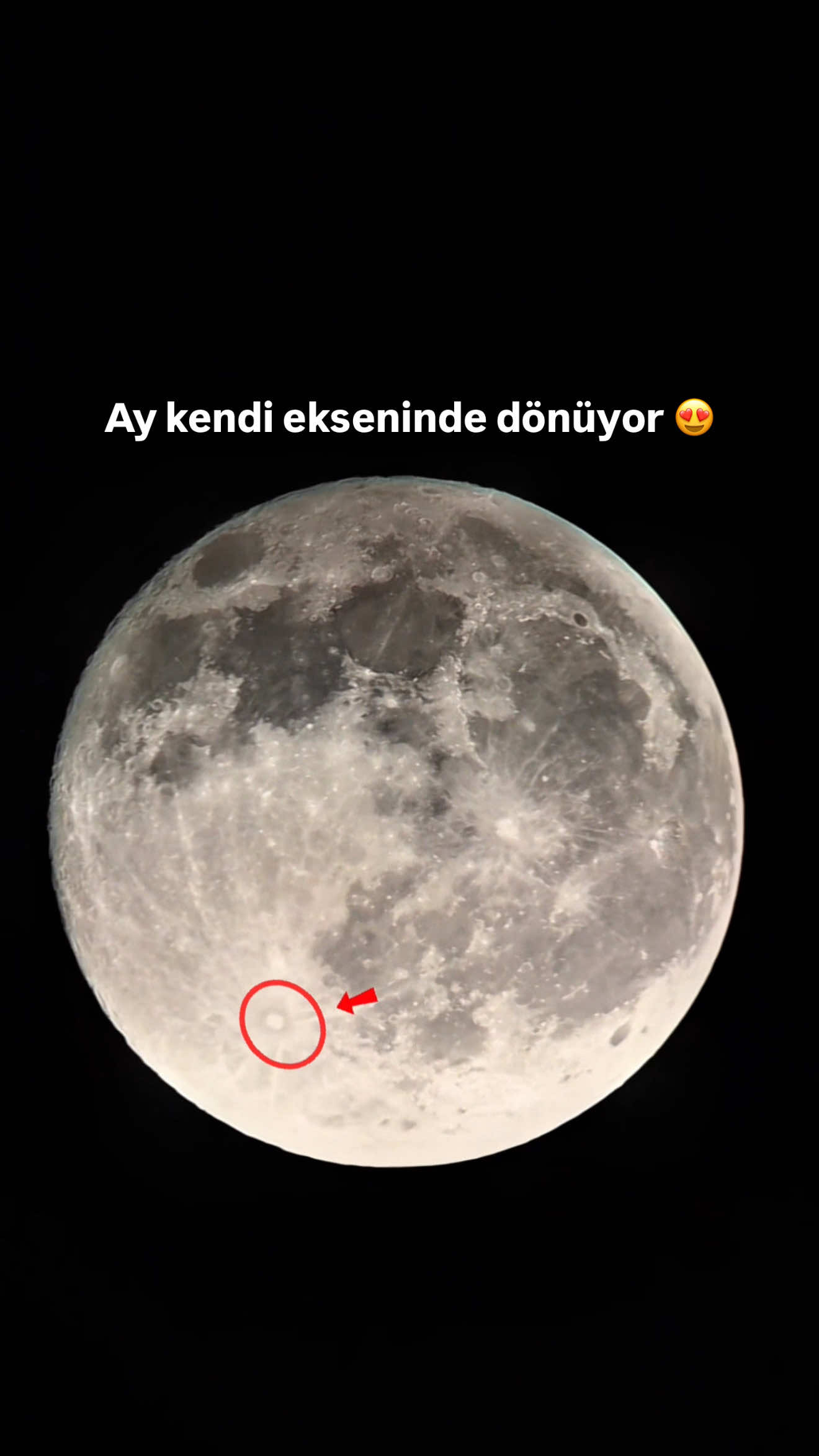 @Ferhat songur