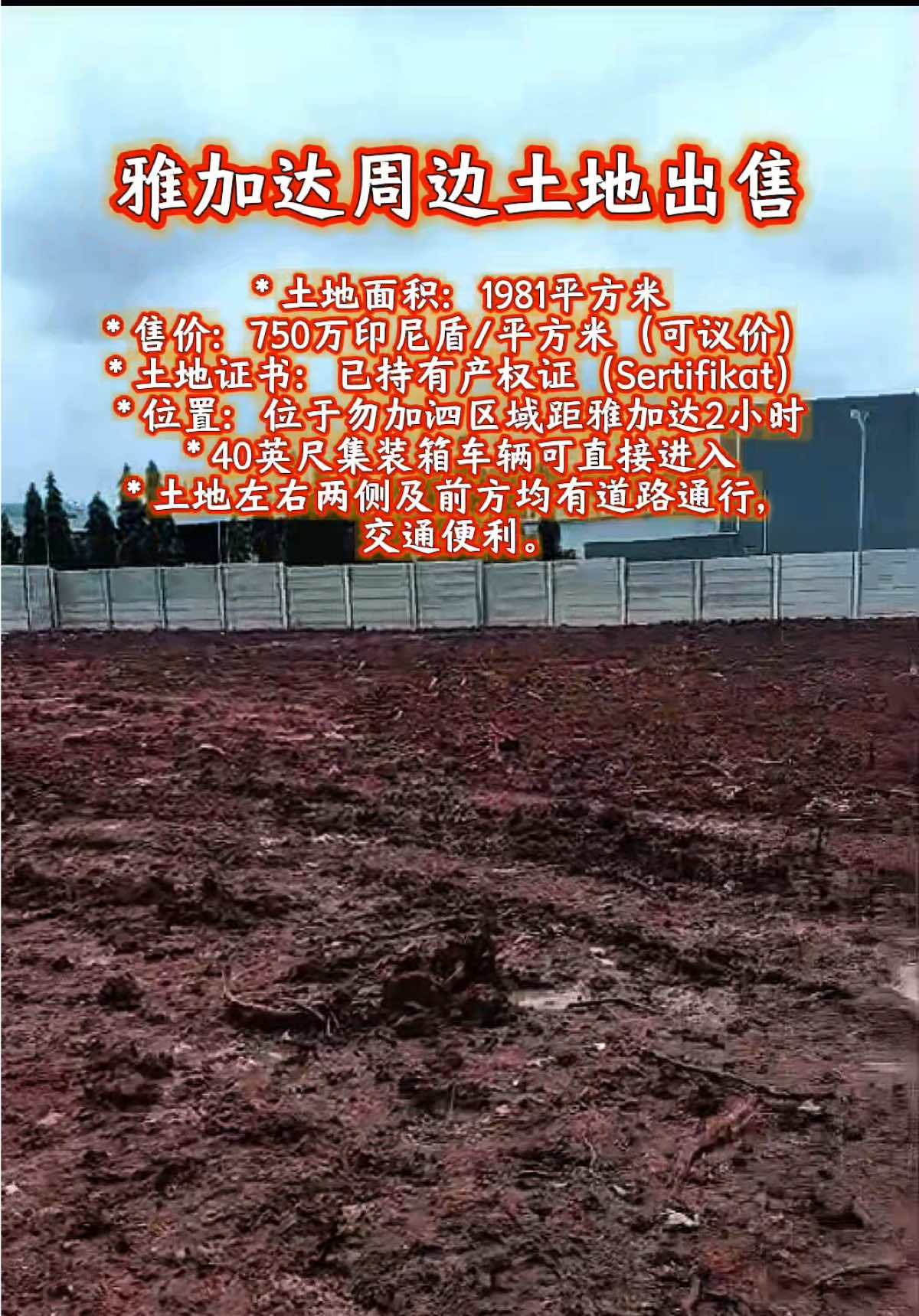 @万岛文化 BudayaNusantara