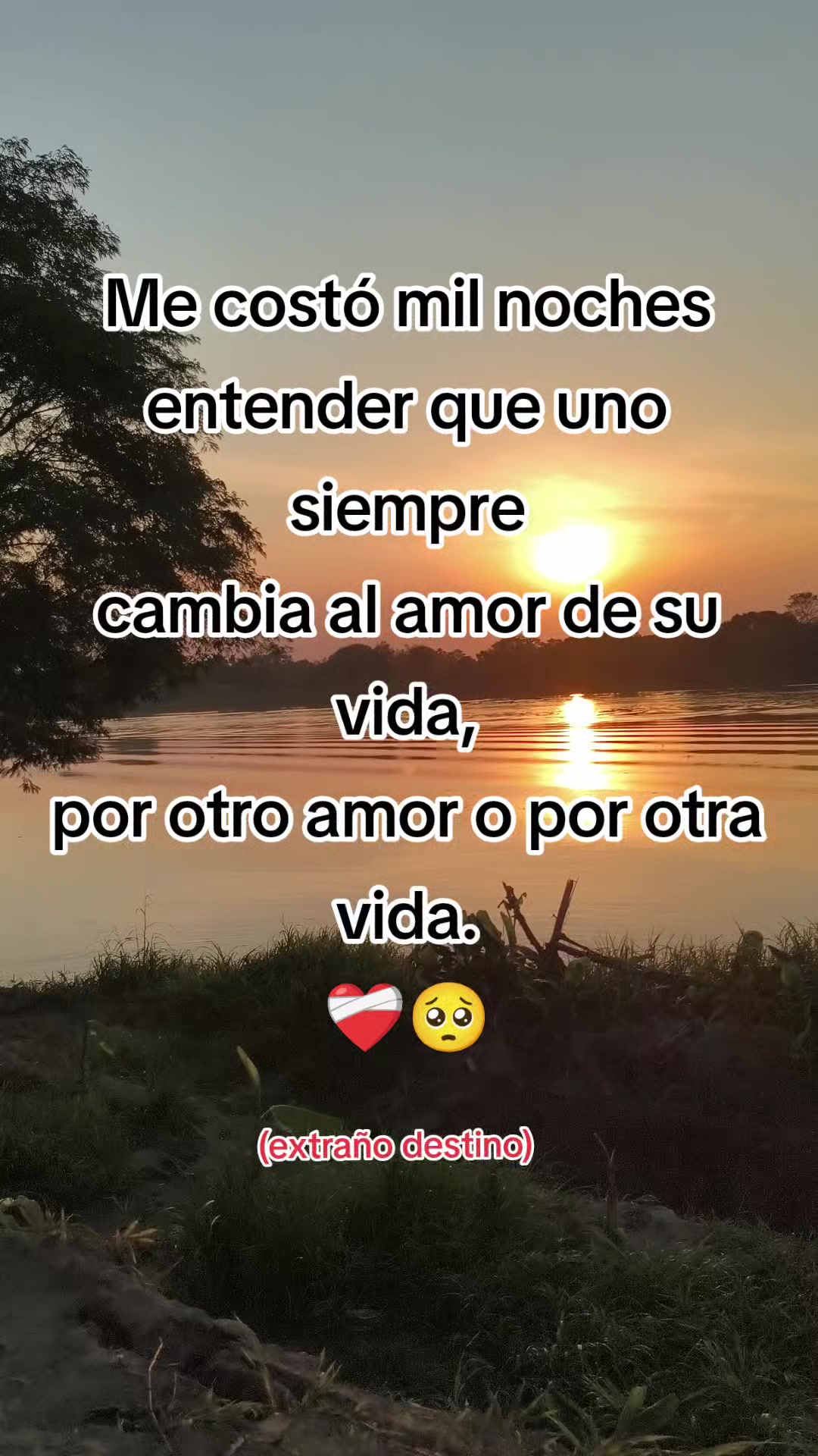 @Eli Rouge