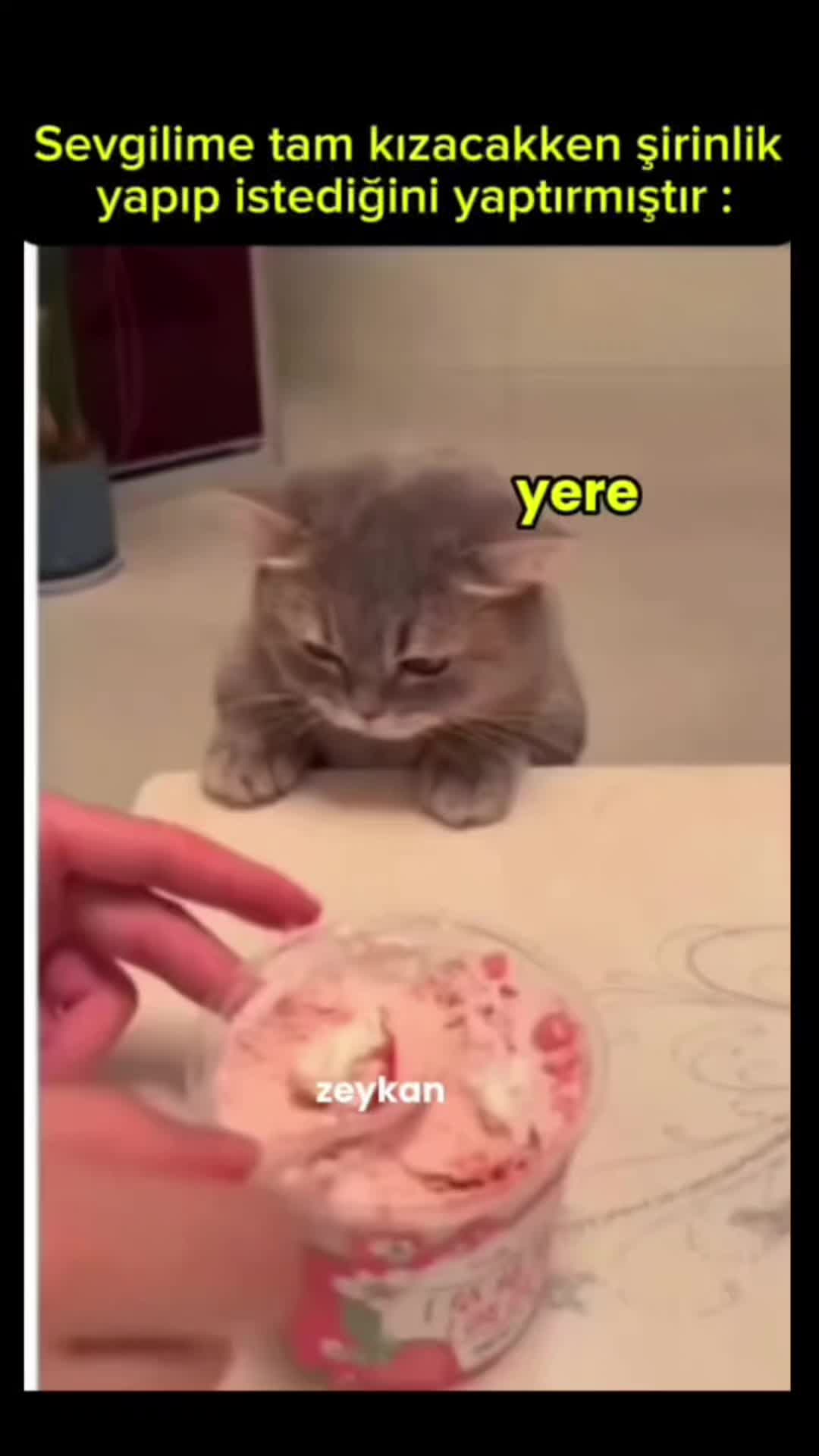 @zeykandub