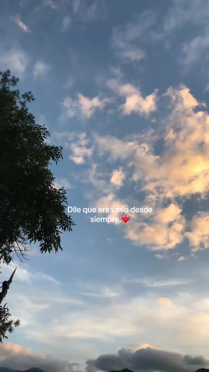 @violetta