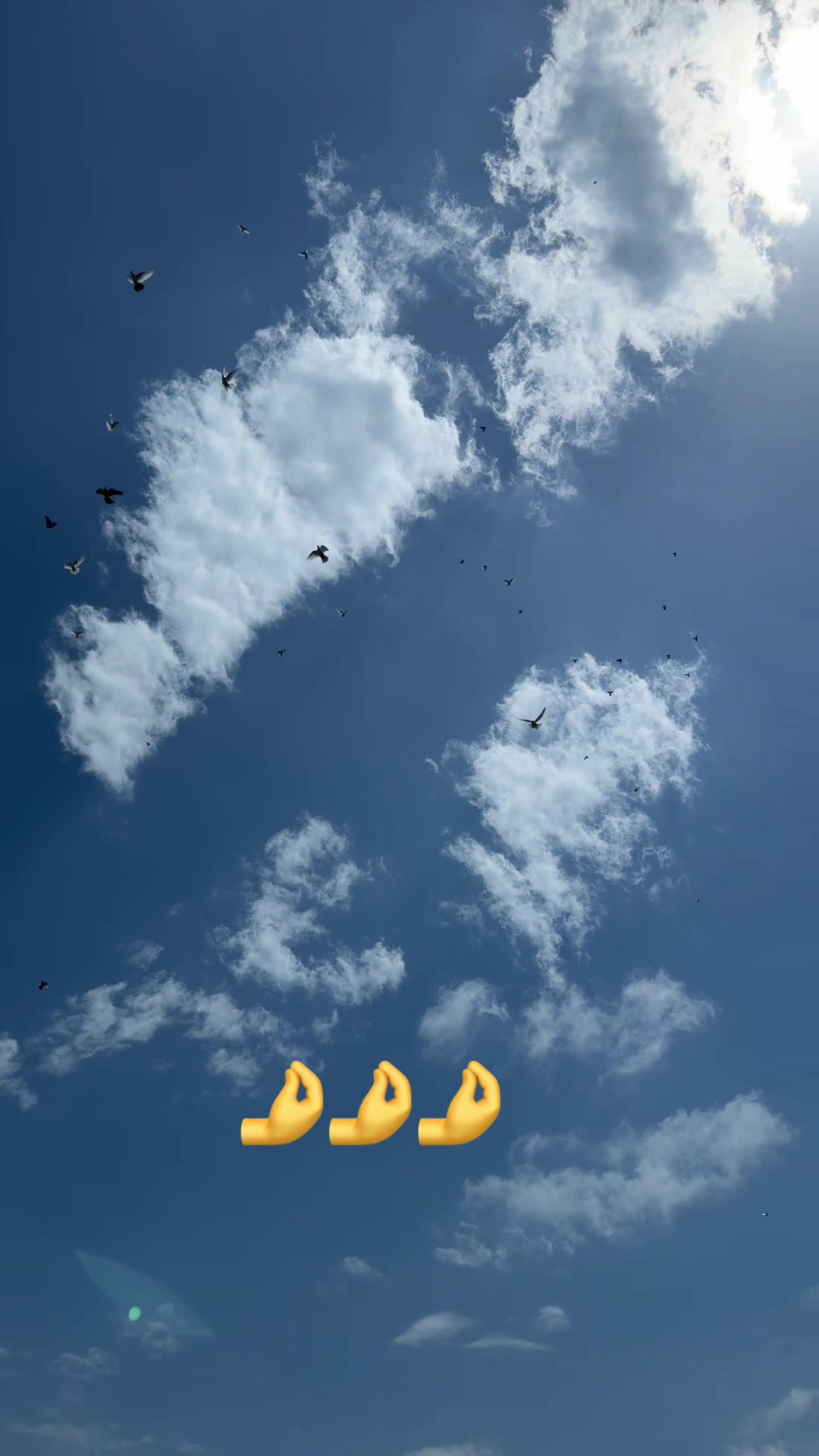 @XAM_BAZ🤘