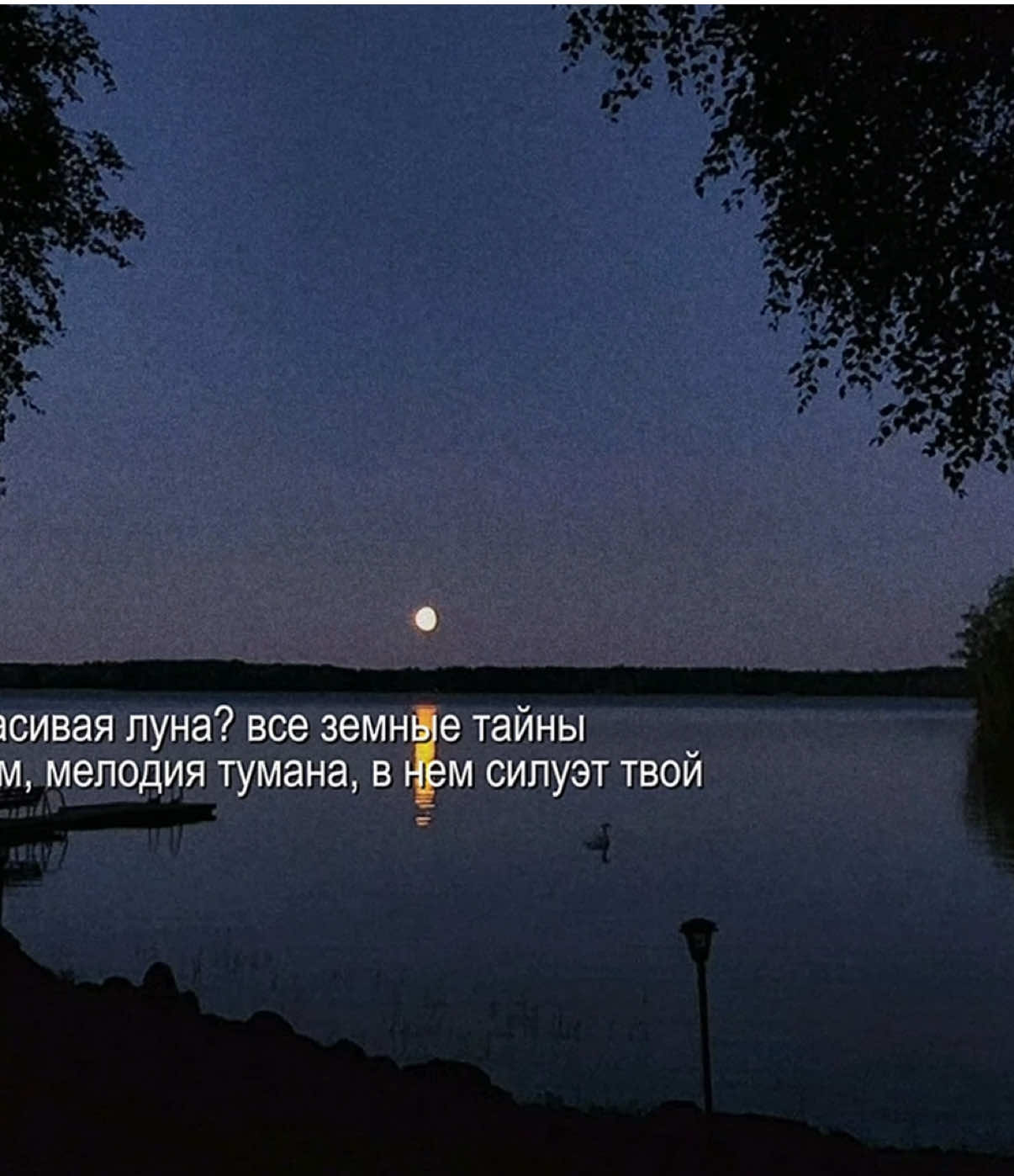 @звуки для липсингов