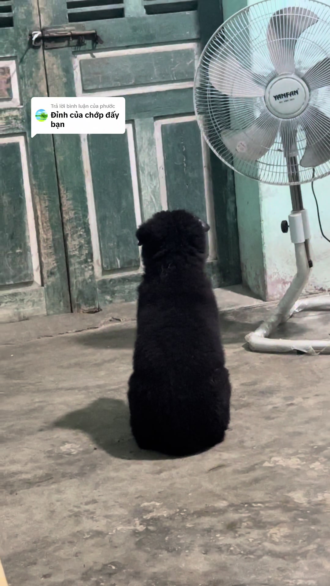 @Khi N&agrave;o Trắng Th&igrave; Đổi T&ecirc;n(Đen)
